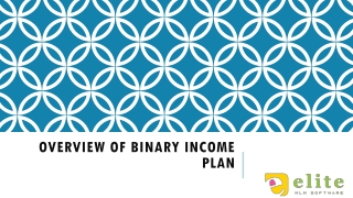 Overview of Binary Income Plan