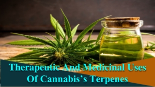 Therapeutic And Medicinal Uses Of Cannabis’s Terpenes