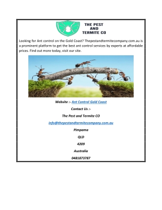 Ant Control Gold Coast | Thepestandtermitecompany.com.au