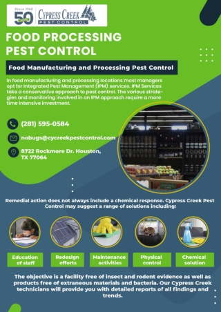 Termite Inspection Houston | Houston Spider Control