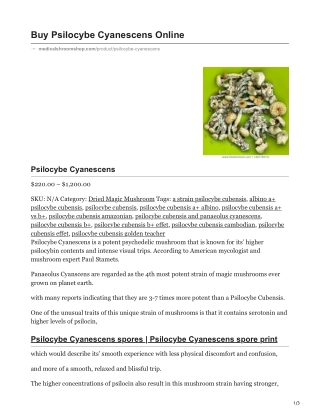 Psilocybe Cyanescens