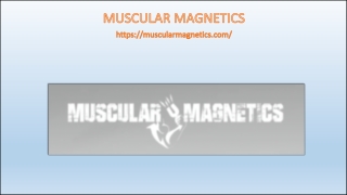 Muscular magnetics
