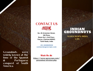 Buy Indian Groundnuts