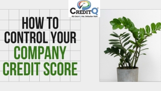 How to Control Your Company Credit Score