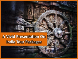 A Vivid Presentation On India Tour Packages