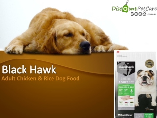Buy Black Hawk Adult Chicken & Rice Dog Food Online