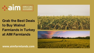 Grab the Best Deals to Buy Walnut Farmlands in Turkey at AIM Farmlands