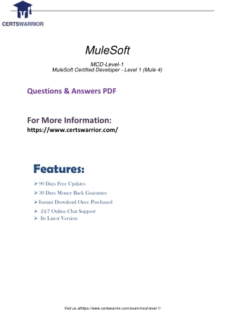 Mulesoft MCD - Level 1 Exam Dumps