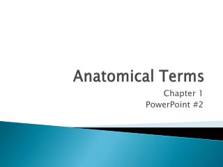 Anatomical Terms