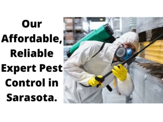 Our Affordable, Reliable Expert Pest Control in Sarasota.