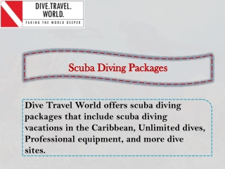 Scuba Diving Packages