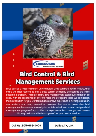 Pest Control Dallas | Dallas Pest control Company