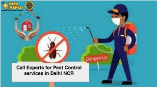 Call Experts for Pest Control in Delhi NCR