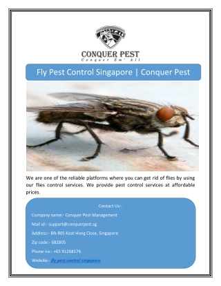 Fly Pest Control Singapore | Conquer Pest