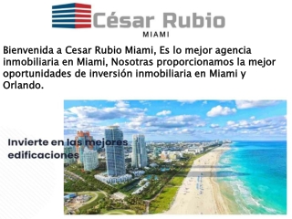 Corredores de bienes raíces en Miami