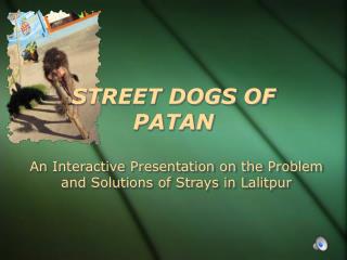 STREET DOGS OF PATAN