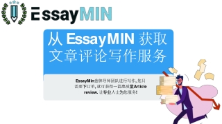 从 EssayMIN 获取文章评论写作服务