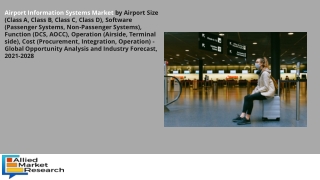 Airport Information Systems Market