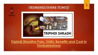 Tripindi Shardha Puja in Trimbakeshwar