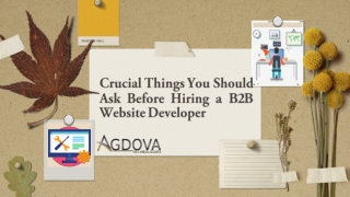 Crucial Things You Should Ask Before Hiring a B2B Website Developer