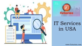 Top IT Services in USA by Futurios Technologies