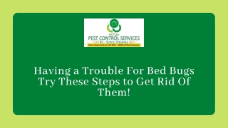Having a Trouble For Bed Bugs Try These Steps to Get Rid Of Them!