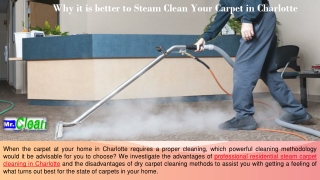 Why it is better to Steam Clean Your Carpet in Charlotte