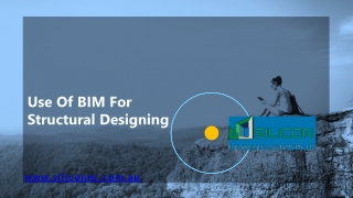 bim services