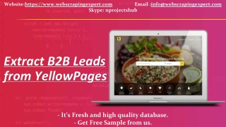 Extract B2B Leads from YellowPages