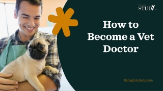 How to Become a Vet Doctor