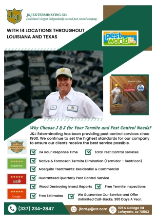 Houma Termite Control | Hammond Pest Control