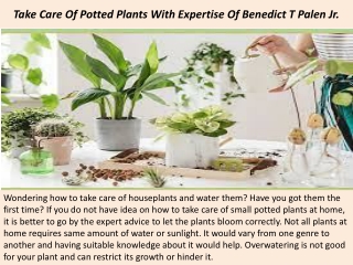 Take Care Of Potted Plants With Expertise Of Benedict T Palen Jr.