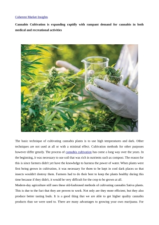 Cannabis Cultivation17j