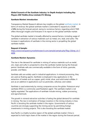 Global Scanario of the Xanthate Industry: In-Depth Analysis Including Key Player