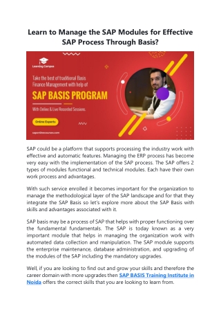 Learn to Manage the SAP Modules for Effective SAP Process Through Basis?