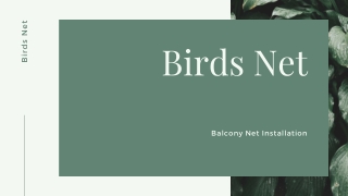 Install  The Best Anti Bird Net At Affordable Price