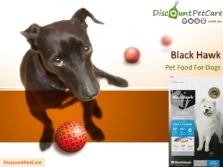 Buy Black Hawk Adult Fish & Potato Dog Food Online - DiscountPetCare