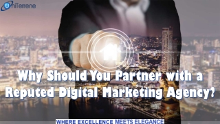 Why Should You Partner with a Reputed Digital Marketing Agency?