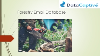 Forestry Email List | Forestry Mailing Database | Forestry Contact Leads