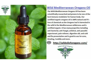 Certified Wild Mediterranean Oregano Oil