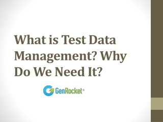 What is Test Data Management Why Do We Need It