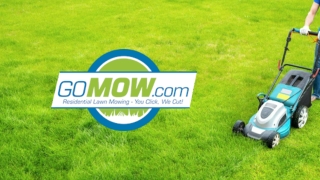 Affordable Lawn Service In Dallas, Texas From Gomow Lawn Care Service