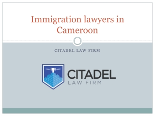 Immigration lawyers in Cameroon