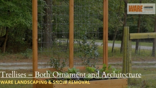 Trellises – Both Ornament and Architecture