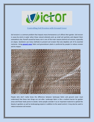 Controlling Soil Erosion with Ground Cover