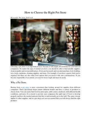 How to Choose the Right Pet Store