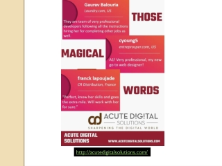 Digital Marketing Agency in Pune - Acute Digital Solutions
