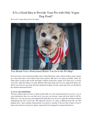 It Is a Good Idea to Provide Your Pet with Only Vegan Dog Food