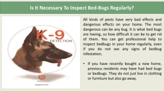 Is It Necessary To Inspect Bed-Bugs Regularly