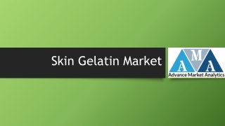 Skin Gelatin Market